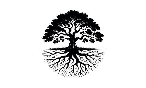 Oak tree silhouette, oak tree vector, tree illustration design pack, oak tree black shape, deciduous tree silhouette, large oak graphic, ancient tree vector, oak with branches, forest tree silhouette