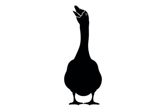 Majestic canada goose silhouette a black profile against white background wildlife illustration