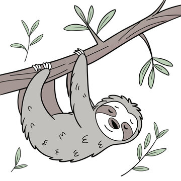 Sloth hanging from branch cute vector illustration on white background