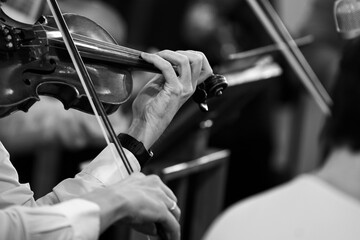  Hands of a musician playing the violin in an orchestra in black and white © furtseff