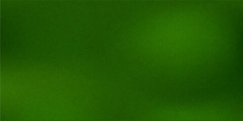 Green grass texture vector background. Summer sport field © absah