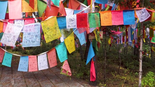 A sacred place, a Buddhist shrine, halidom in a pine forest in Shangri la (a place of eternal youth) and flags with texts of prayers and requests. Tibet