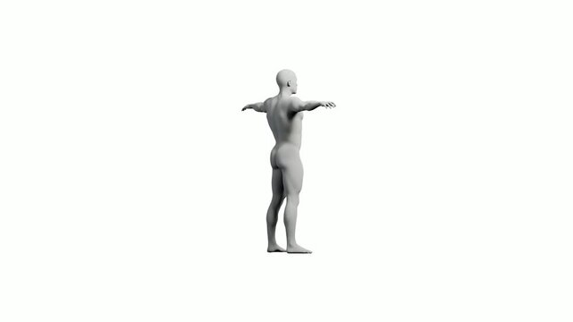 Mannequin T-pose front view