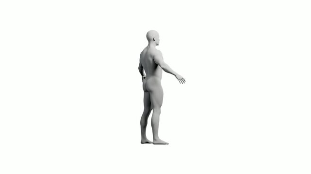 3D mannequin standing full body white background