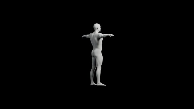 Mannequin T-pose front view