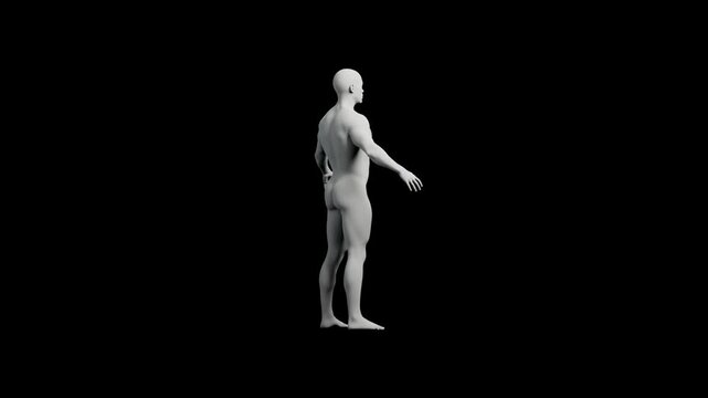 3D mannequin standing full body black background