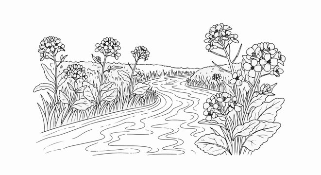 A meandering stream flows through a meadow of wildflowers and tall grass