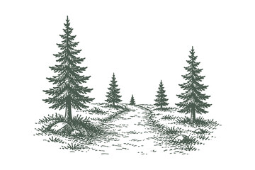 Obraz premium Scenic Pine Forest Path in Mountain Wilderness, Vintage Hand Drawn Sketch Style Vector Illustration, Adventure and Hiking Concept Background Scenery.