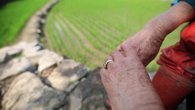 Farmer Resting in Rice Field - 청산도 논에서 휴식 하는 농부