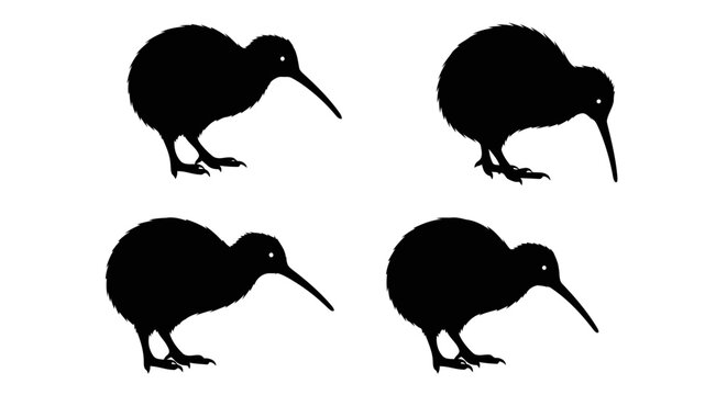 Set of kiwi bird silhouettes, flightless bird native to new zealand, vector illustration