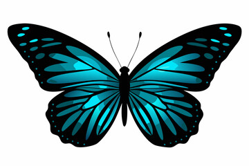 Blue morpho butterfly illustration on a white background © Zafor