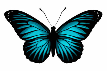 Blue morpho butterfly illustration on a white background © Zafor