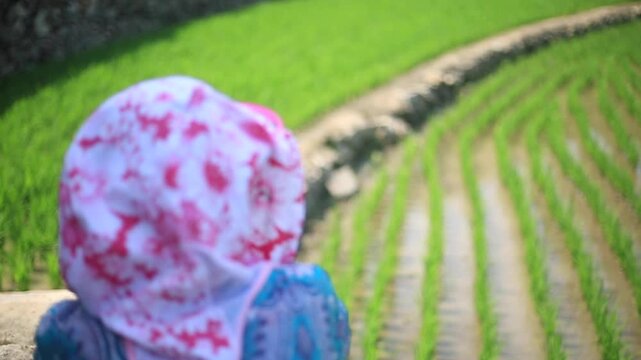 Farmer Resting in Rice Field - 청산도 논에서 휴식 하는 농부