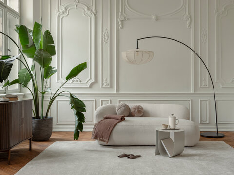 Elegant and serene living room interior with modern furniture, natural light, and a large green plant, creating a calm atmosphere