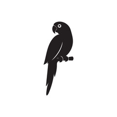 Obraz premium Stylized Parrot Silhouette on Branch
