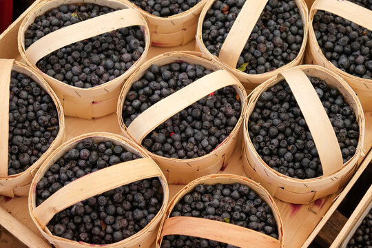 Blueberries in baskets at farmers market