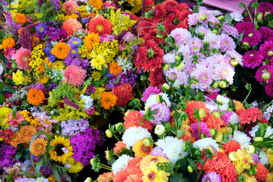 Colorful mixed flowers at market stall