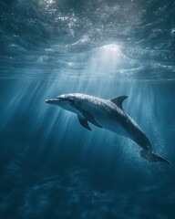 Obraz premium Underwater graceful dolphin swimming through sunlit deep blue ocean with natural sunlight rays filtering through water surface