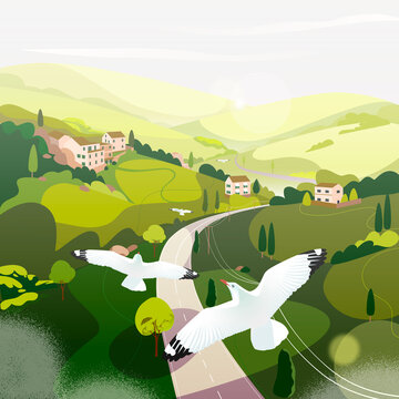 Over fields