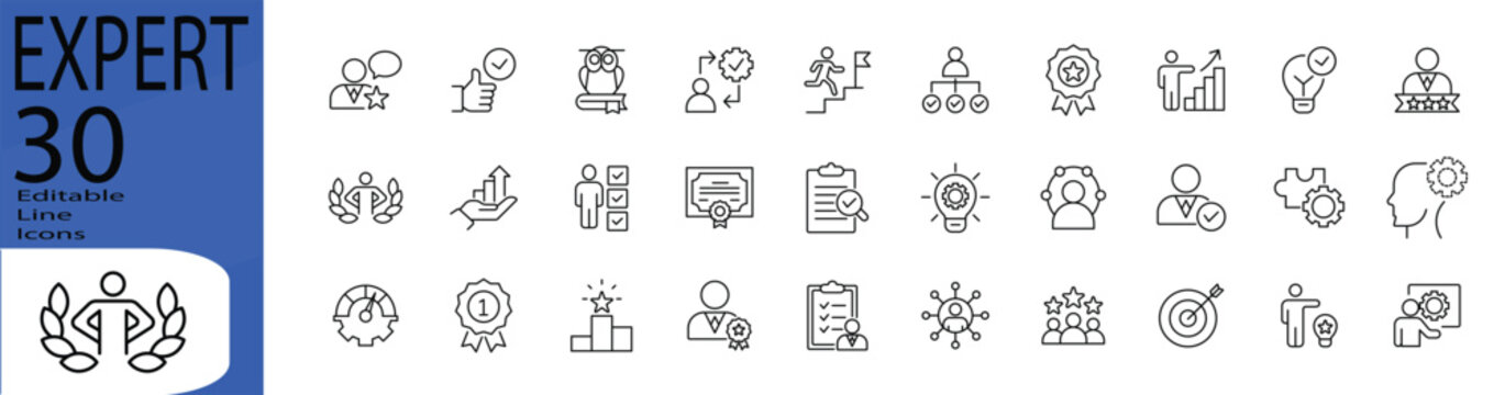 Expert line editable icon set. Editable stroke. Vector illustration.