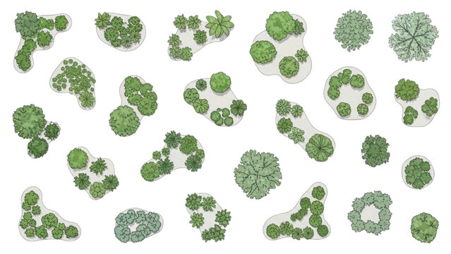 Organic tree cluster layout top view with natural vegetation groupings, landscape planting composition for site planning design