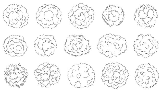 Top view abstract tree canopy outlines, irregular organic foliage shapes for landscape planning and architectural vegetation symbols