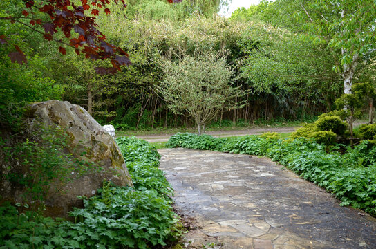 jardin chinois