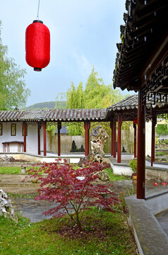 jardin chinois