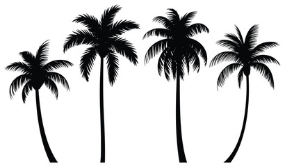 Silhouette of Palm Trees: Dramatic silhouette of palm trees set against backdrop. tropical vibe, summer vacation, seaside escape, beach life, exotic island. © SHUVO