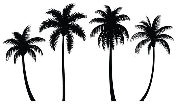 Silhouette of Palm Trees: Dramatic silhouette of palm trees set against backdrop. tropical vibe, summer vacation, seaside escape, beach life, exotic island.