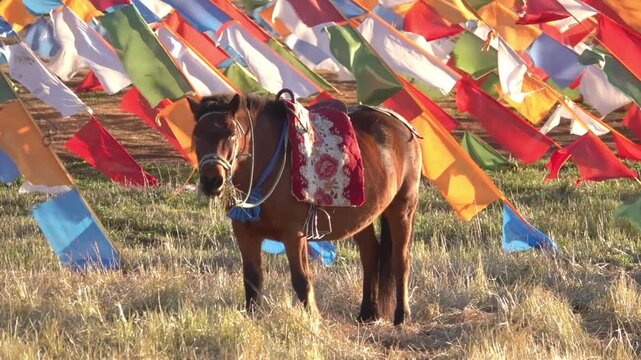 Impressive pennant play in the wind, like lung-than. Red flags and pennants in form of a yurt. Urumqi city surroundings. Uighur Horsemen. Mongolian horse. Xinjiang Uygur Autonomous Region. China