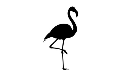 Fototapeta premium Black silhouette of a flamingo bird.