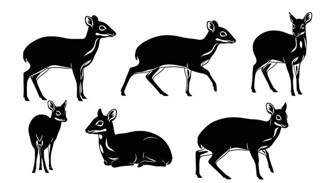 Multiple mouse deer (kancil) silhouettes in side profile, solid black shapes.