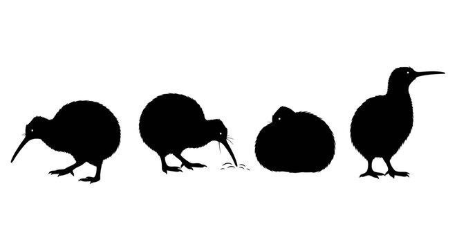 Group of Killdeer Birds Silhouette Vector Illustration
