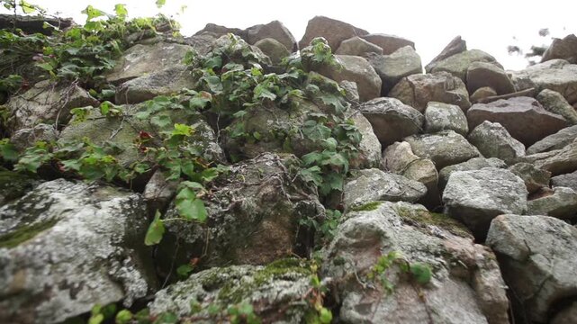 Traditional Stone Wall in Village - 청산도 마을의 전통 방식 돌담