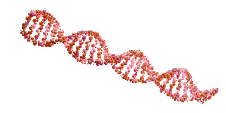 DNA Double Helix Structure with Molecular Details Isolated on Transparent Background. 3D rendering.