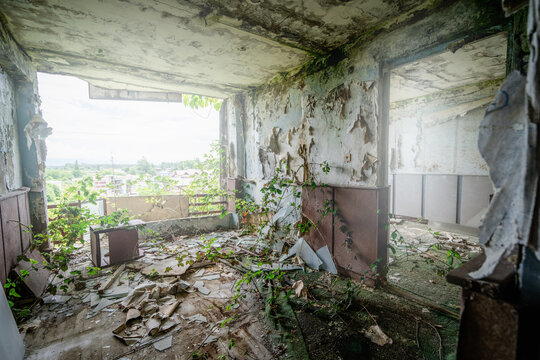 Nature reclaimed abandoned room with vines, mold, peeling walls, urban decay interior, environmental neglect, post apocalyptic architecture.