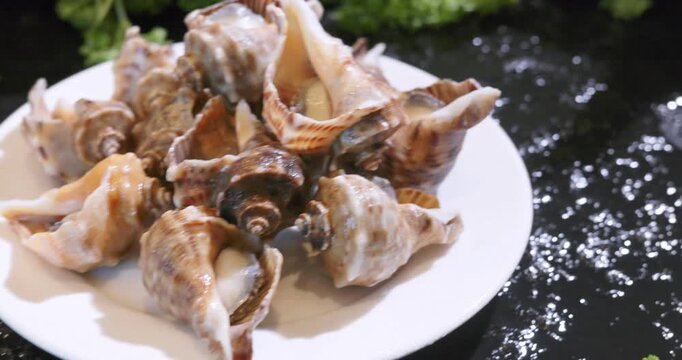 Hot pot, barbecue, seafood ingredients, shelled and cooked sea snails