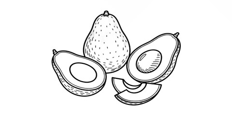 Hand drawn vector illustration of avocado and an organic acorn isolated on white featuring a fresh juicy green kiwi slice for a healthy natural food snack © Razu Ahmed Emran 2
