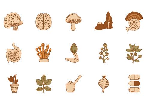 Functional mushroom and adaptogen wellness icons for supplement apps, functional food platforms, herbal health dashboards, and adaptogenic lifestyle UI design.
