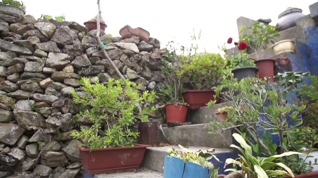 Village Scenery and Stone Wall Path - 청산도 마을 풍경과 돌담길