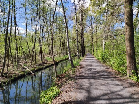 Rundwanderweg im Spreewald zwischen L&uuml;bbenau und Leipe im Fr&uuml;hling 