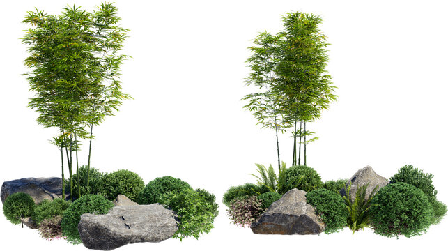 Bamboo tree on transparent background