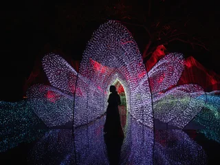 Fotobehang Lotusbloem Woman silhouette inside glowing lotus shaped light installation at night  © blackday