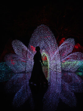 Woman silhouette inside glowing lotus shaped light installation at night