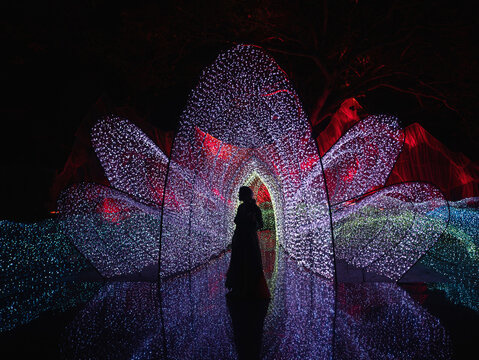 Woman silhouette inside glowing lotus shaped light installation at night