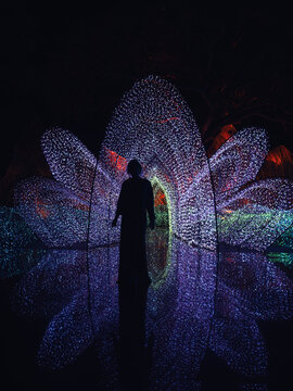 Woman silhouette inside glowing lotus shaped light installation at night