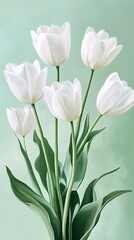 Obraz premium A bouquet of white tulips with green leaves on a light green background