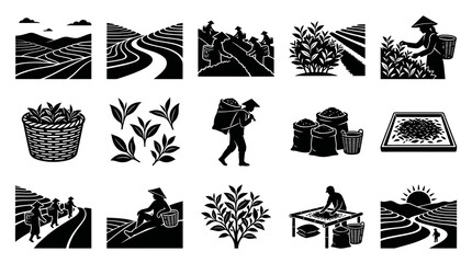 Obraz premium Black and White Icons of Tea Cultivation and Harvesting Process