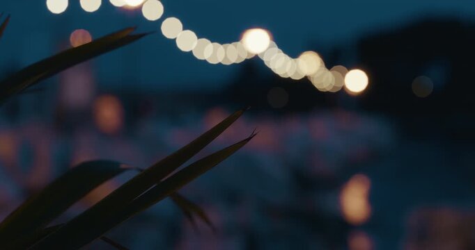 Out-of-focus lights above shoreline with plant leaves